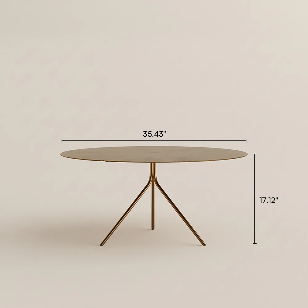 Round modern coffee table with ironwork construction, partial assembly required, 109 kg weight capacity