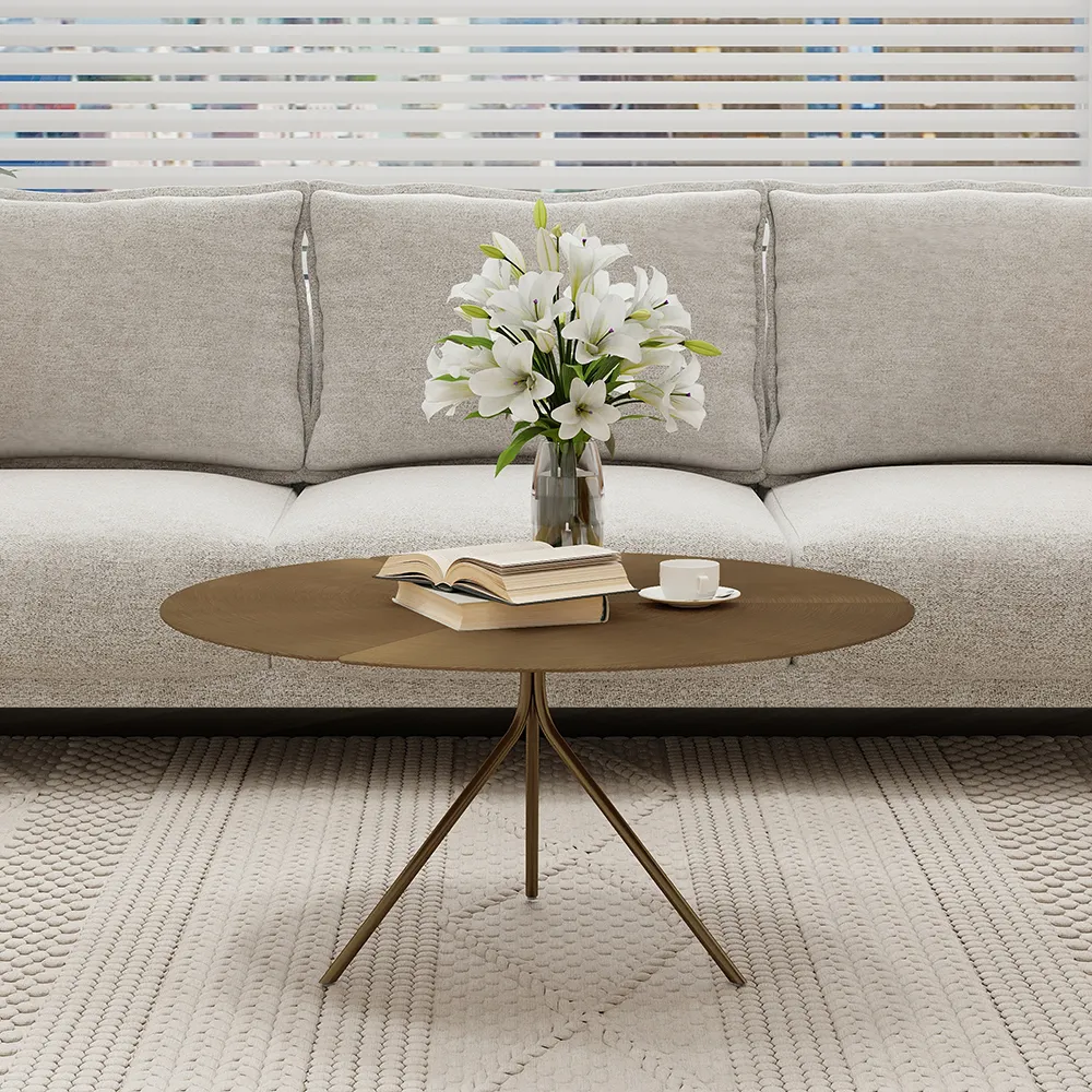 Round modern coffee table with ironwork construction, partial assembly required, 109 kg weight capacity