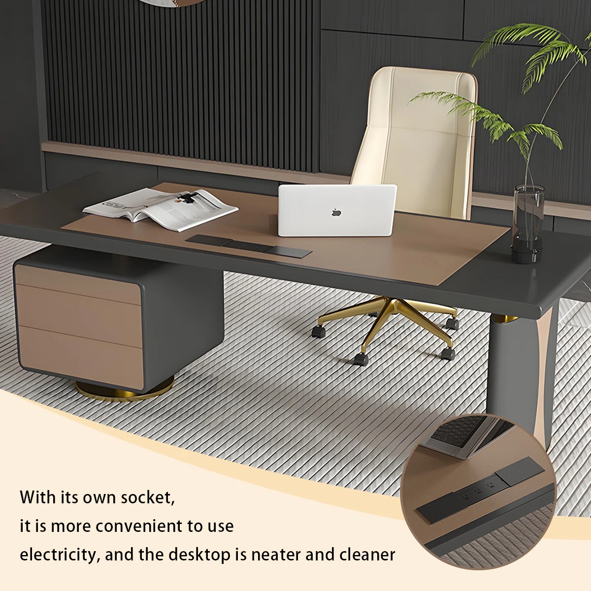 Liora Executive Office Desk with storage cabinet